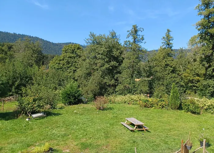 Dans Un Cadre Apaisant A Moussey Dans Les Vosges Dom wakacyjny Moussey (Vosges)